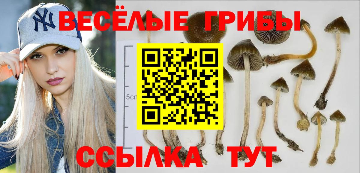 Кокаин Шебекино