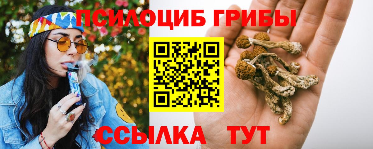 Псилоцибиновые грибы Psilocybe Шебекино